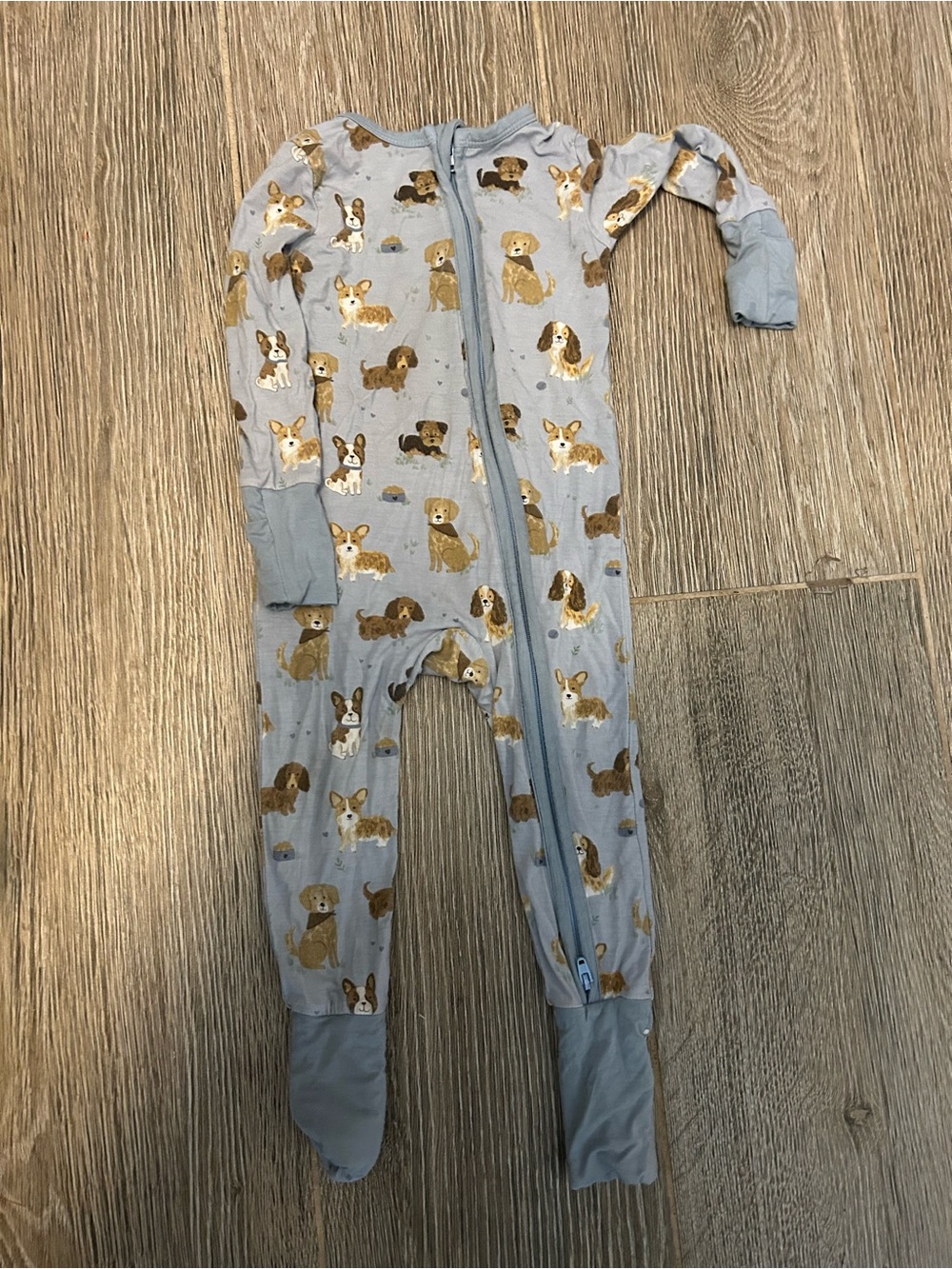 Angel Dear Light Blue Puppy Print Footed One-Piece